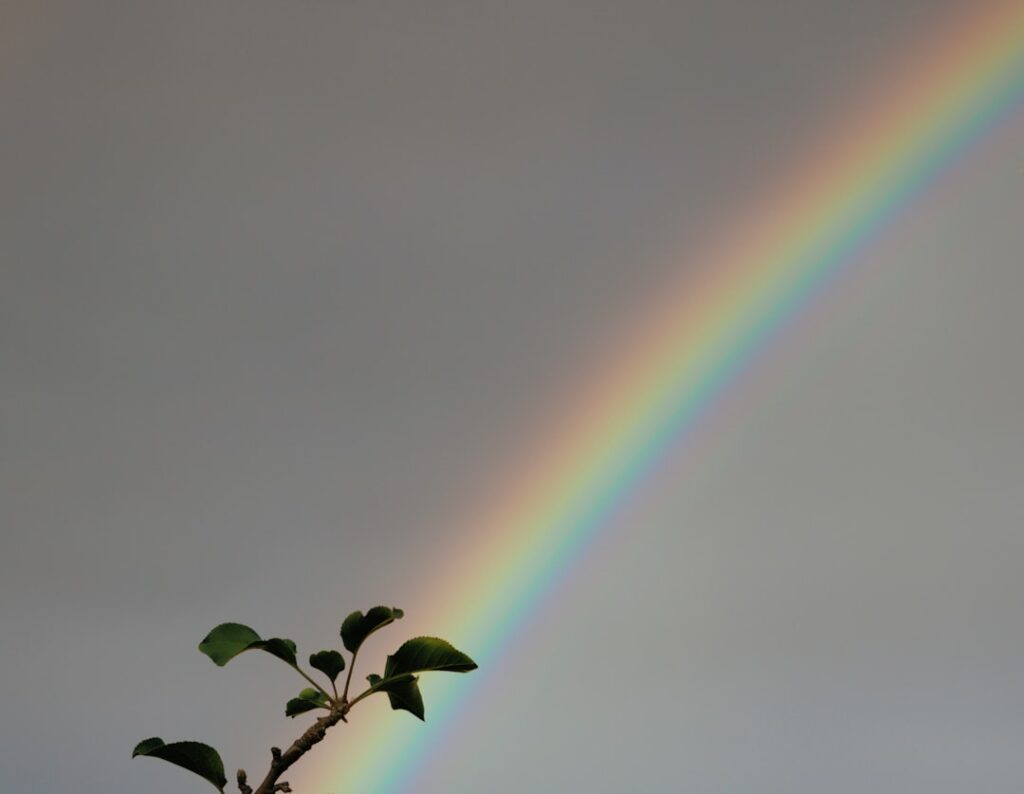 De betekenis en het verhaal achter een rainbow baby